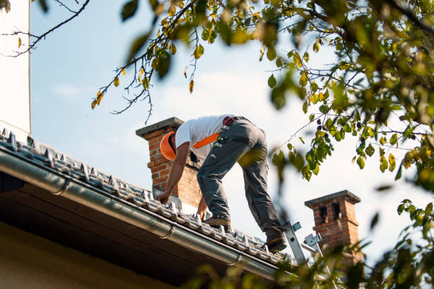 Best Roof Moss and Algae Removal  in Kulpmont, PA
