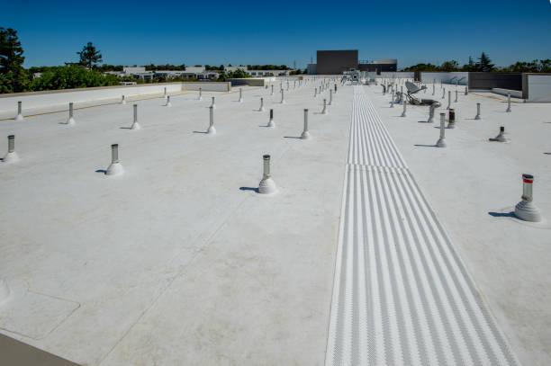 Best 4 Ply Roofing  in Kulpmont, PA